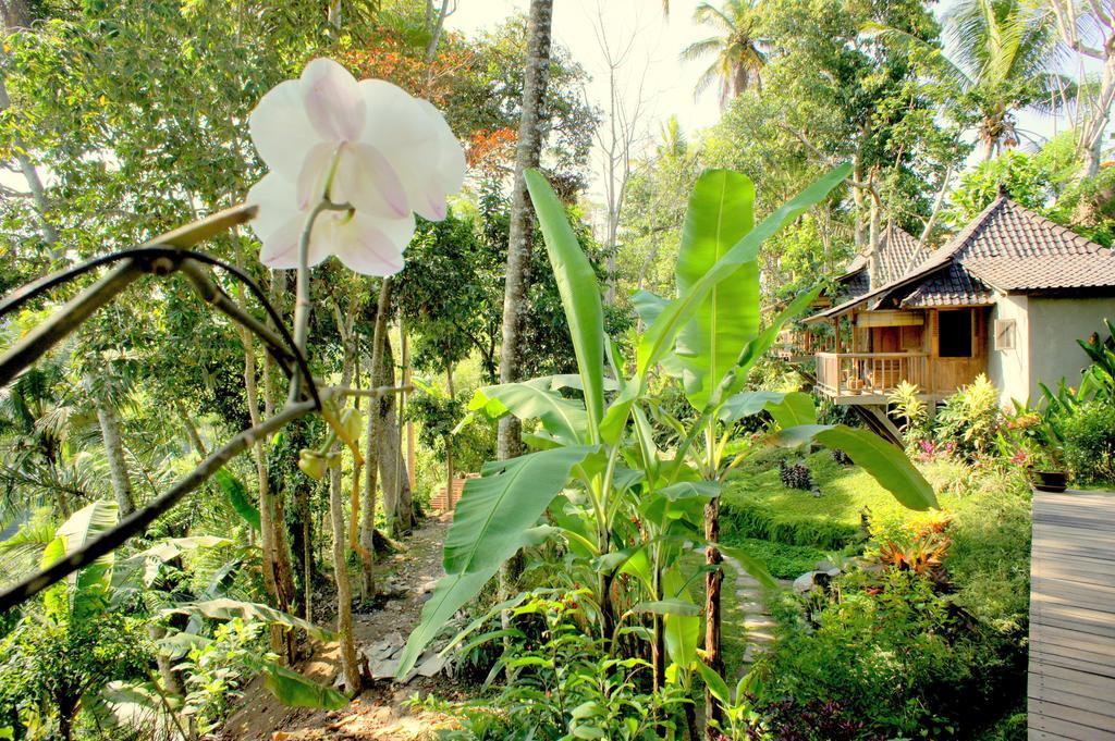 Prashanti Bali Ubud  Bagian luar foto