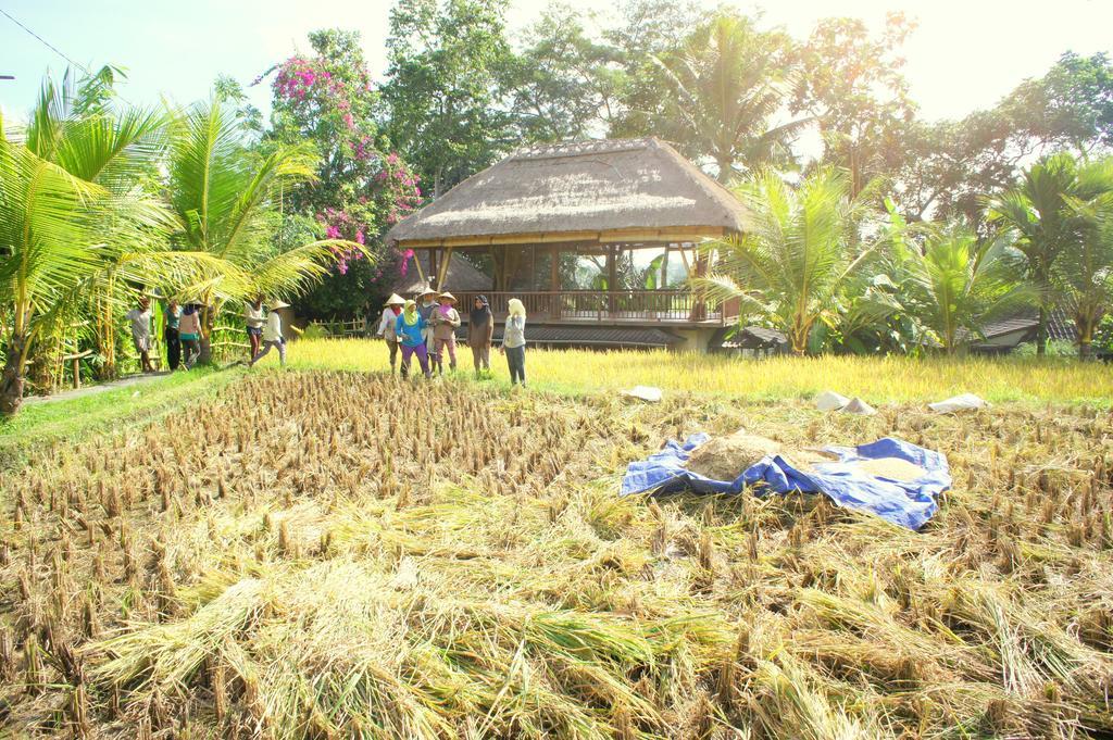 Prashanti Bali Ubud  Bagian luar foto