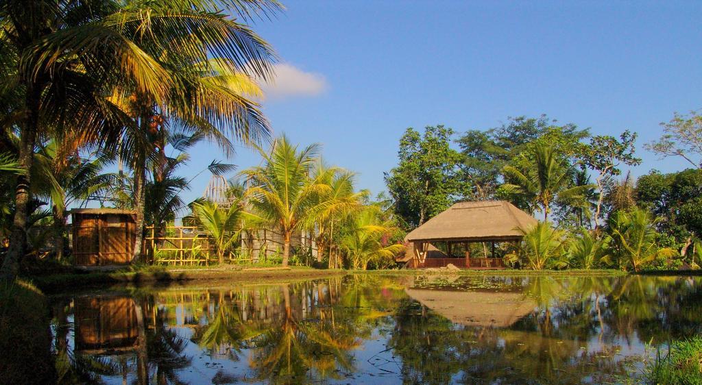 Prashanti Bali Ubud  Bagian luar foto