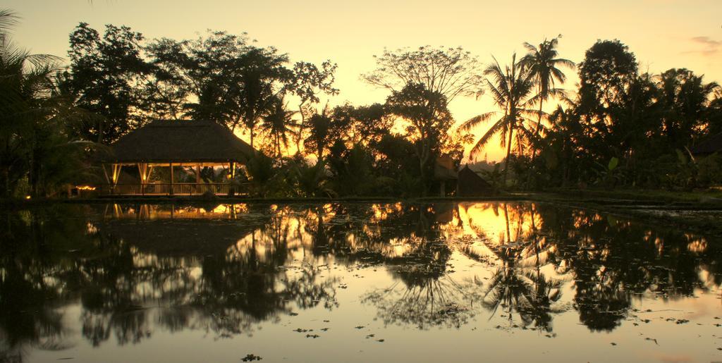 Prashanti Bali Ubud  Bagian luar foto