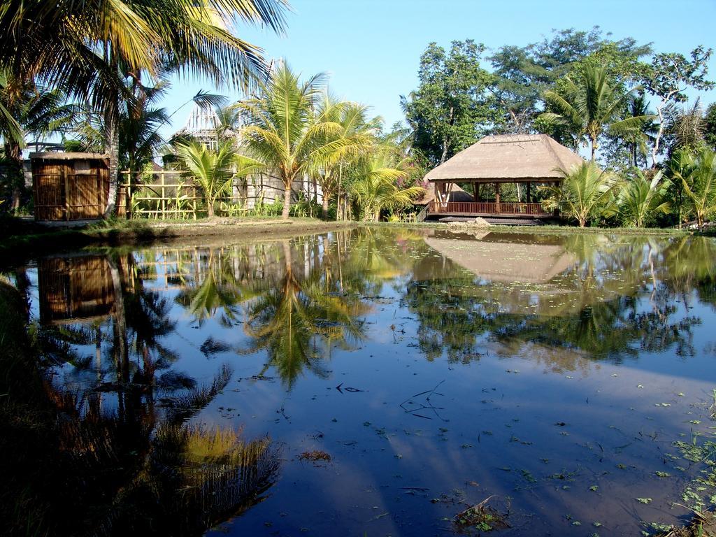 Prashanti Bali Ubud  Bagian luar foto
